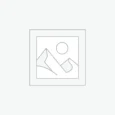 عنصر نائب Placeholder